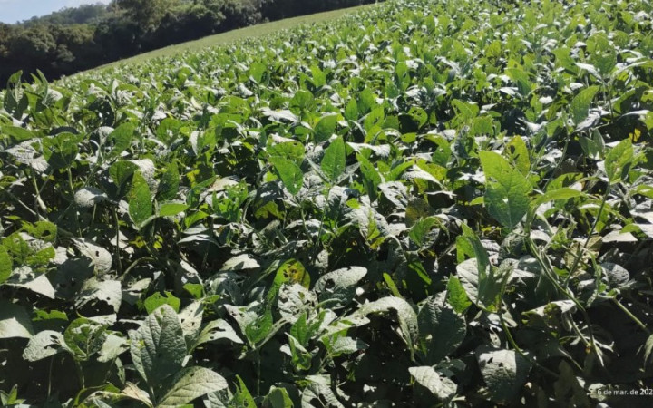 Fazenda
