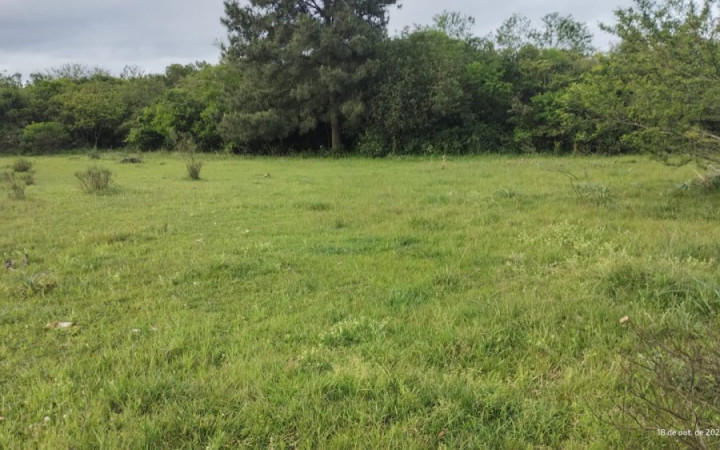 Fazenda