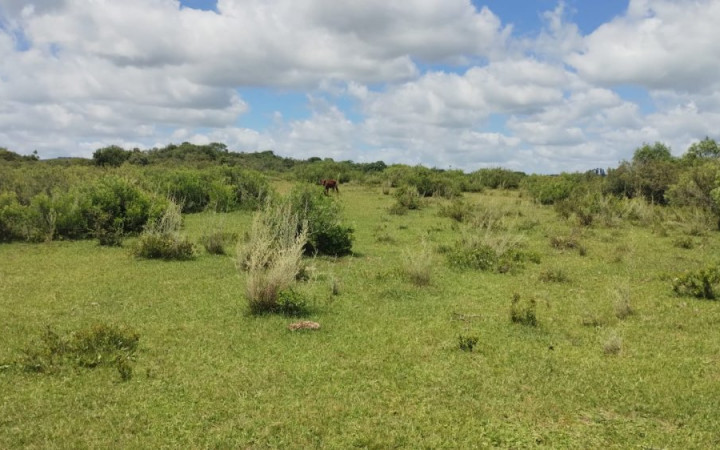 Fazenda