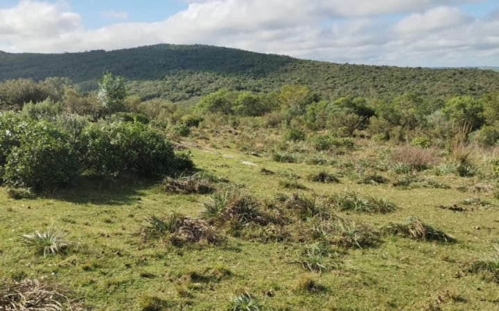 Fazenda