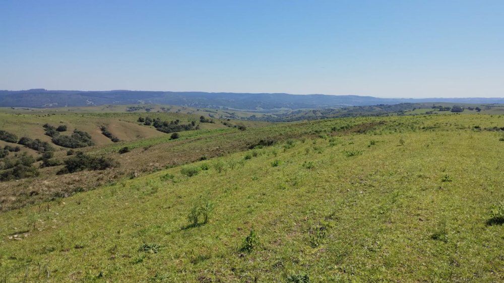 Fazenda - Venda - 3 Distrito - Canguu - RS