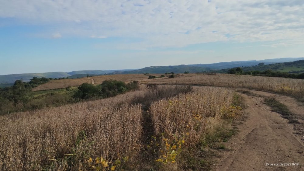Fazenda - Venda - Centro - Pinheiro Machado - RS
