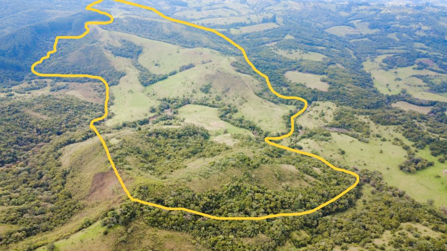 Fazenda - Venda - Centro - Santana da Boa Vista - RS