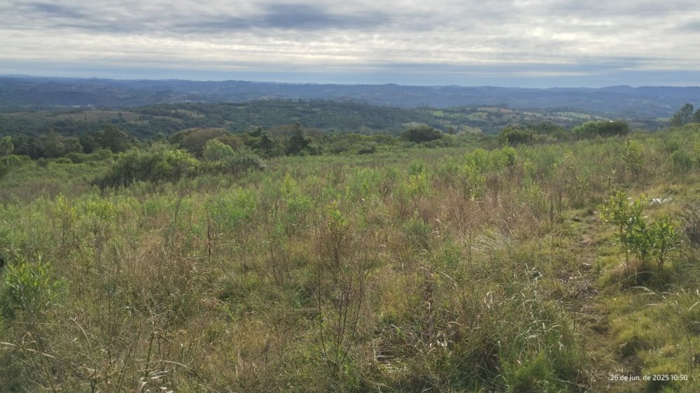 Fazenda - Venda - Cascata - Pelotas - RS