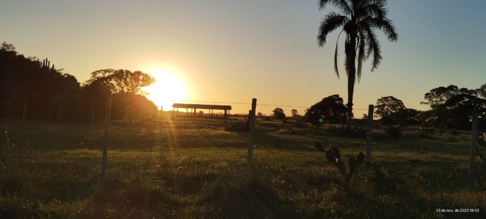 Fazenda - Venda - Povo Novo - Rio Grande - RS
