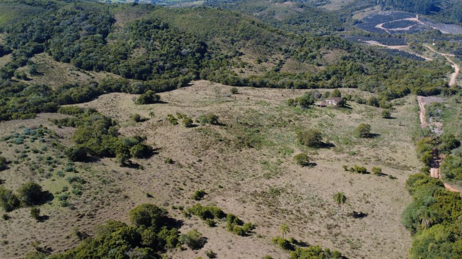 Fazenda - Venda - Br 392 - Santana da Boa Vista - RS