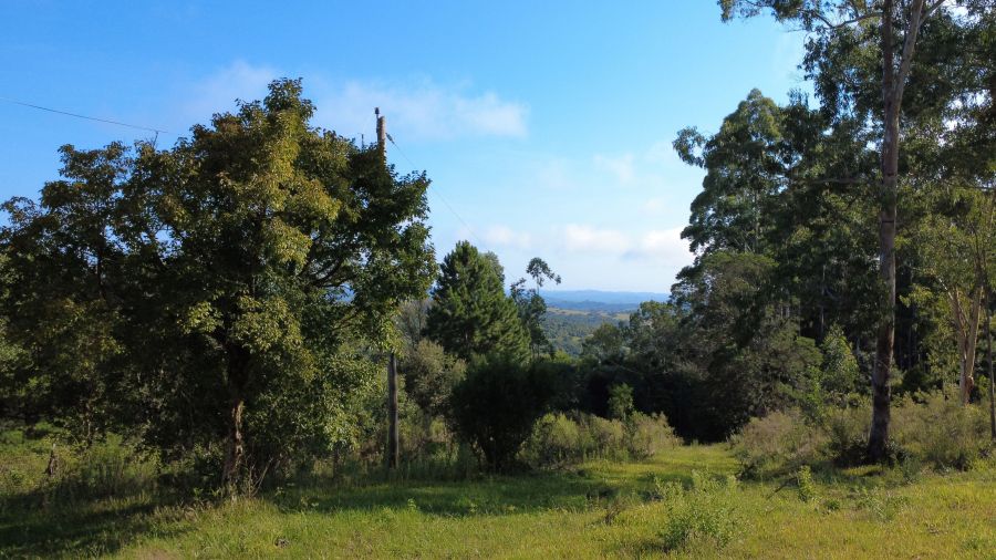 Ch�cara - Venda - Cascata - Pelotas - RS