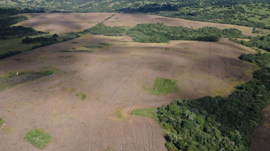 Fazenda - Venda - Passo da Olaria - Pinheiro Machado - RS