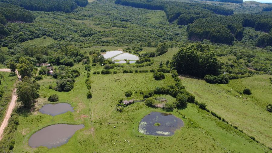 Fazenda - Venda - Camaqu� - Santana da Boa Vista - RS