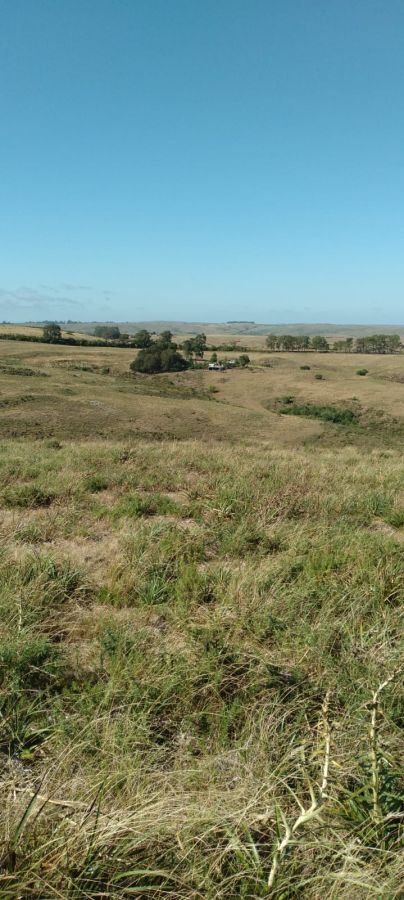 Stio - Venda - Centro - Pedras Altas - RS