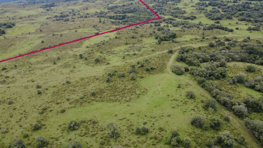 Fazenda - Venda - Centro - Pinheiro Machado - RS