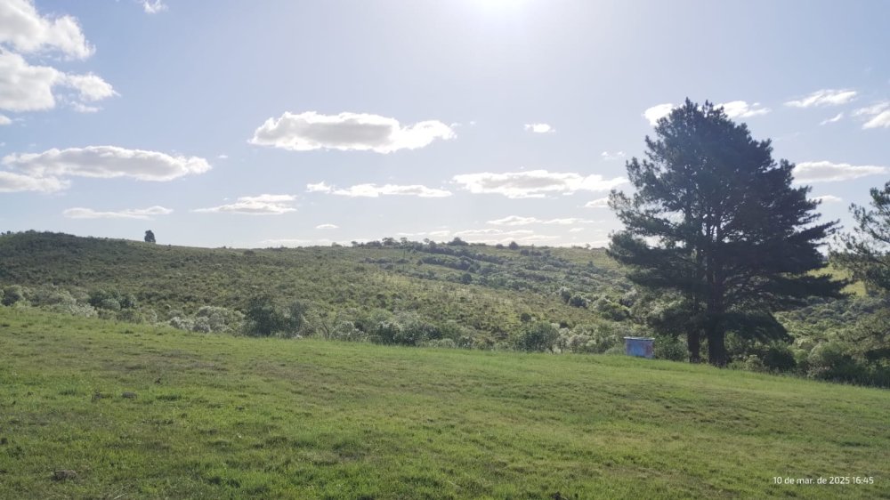 Fazenda - Venda - Centro - Herval - RS