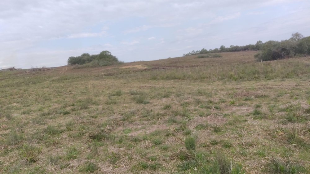 Fazenda - Venda - Centro - Pinheiro Machado - RS