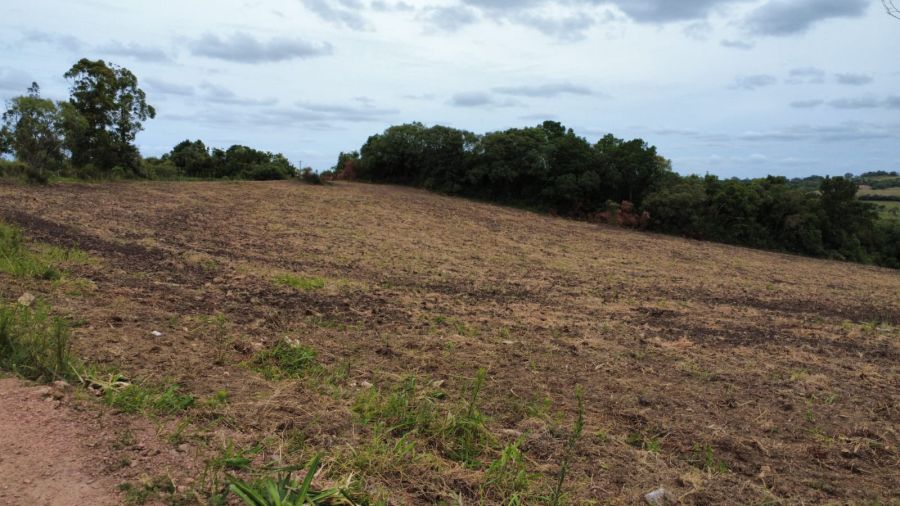 Fazenda - Venda - Rural - Sentinela do Sul - RS