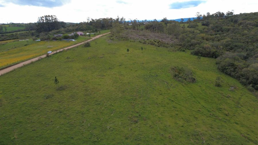 Chácara - Venda - Vila Freire - Cerrito - RS