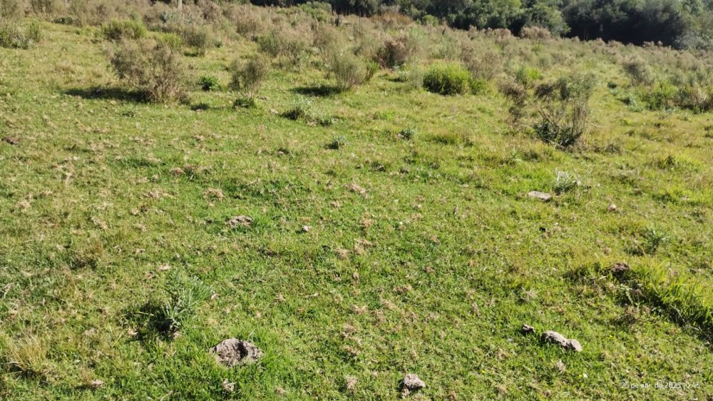 Fazenda - Venda - Centro - Herval - RS
