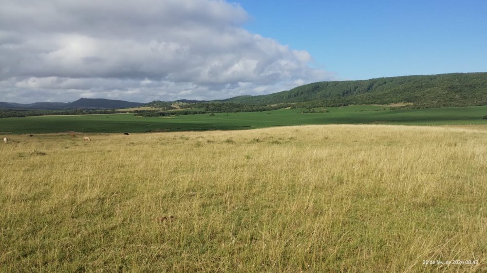 Fazenda - Aluguel - Centro - Encruzilhada do Sul - RS