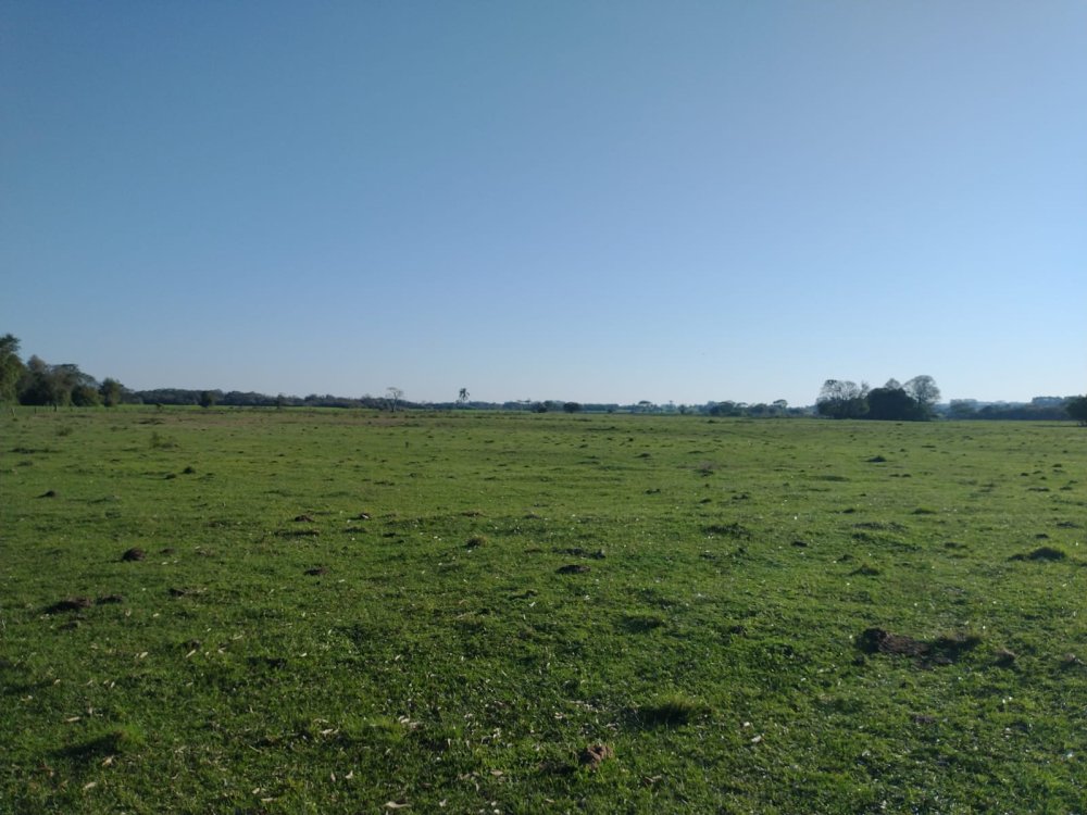 Fazenda - Venda - Centro - Cristal - RS