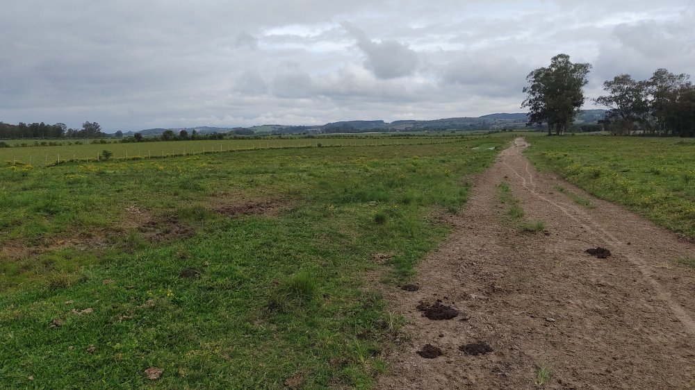 Fazenda - Venda - Fragata - Pelotas - RS