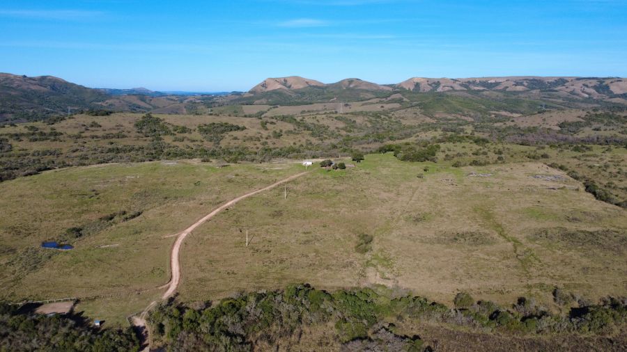 Fazenda - Venda - Br 392 - Santana da Boa Vista - RS