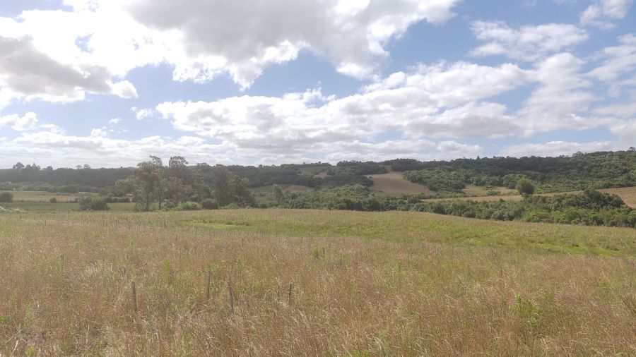 S�tio - Venda - Capela da Buena - Morro Redondo - RS