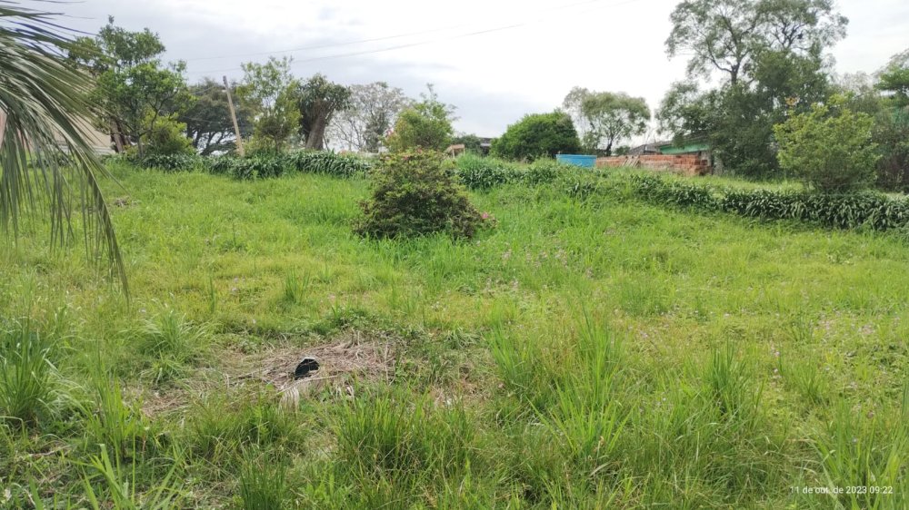 Terreno - Venda - Trs Vendas - Pelotas - RS