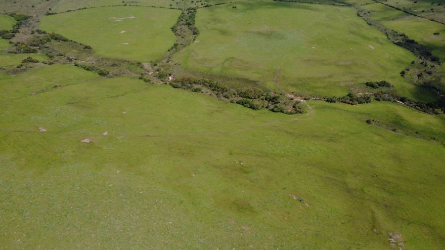 Fazenda - Venda - Br 392 - Santana da Boa Vista - RS