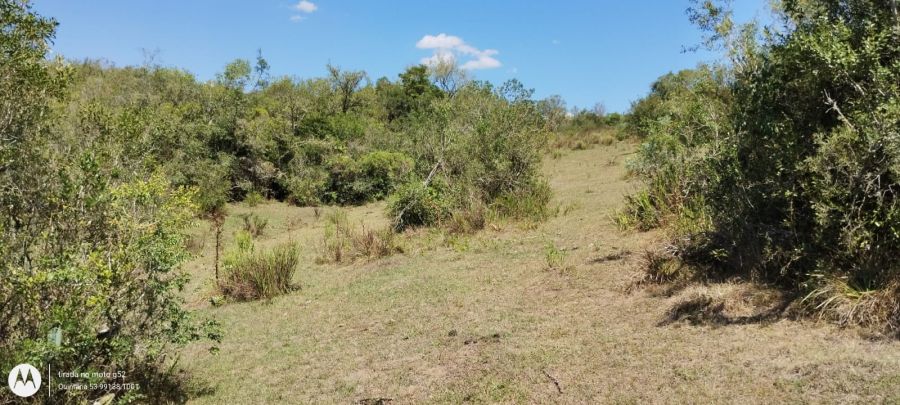 S�tio - Venda - 5 Distrito - Piratini - RS