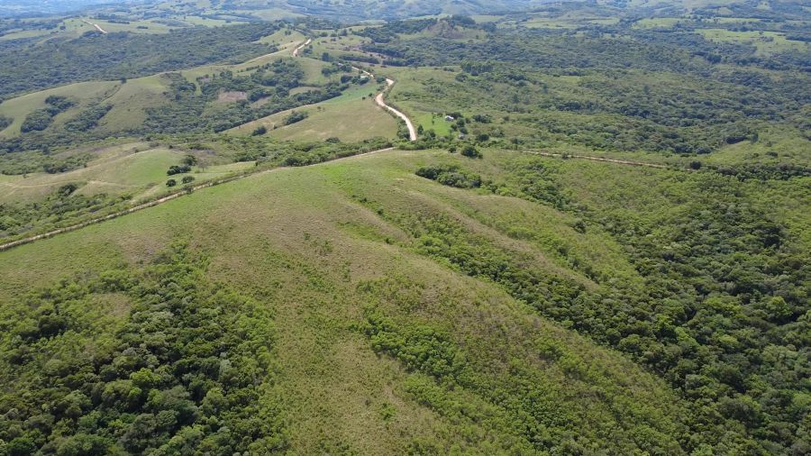 Sítio - Venda - Centro - Santana da Boa Vista - RS