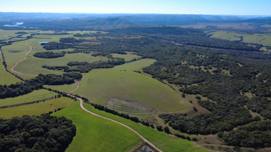 Fazenda - Venda - Br 392 - Santana da Boa Vista - RS