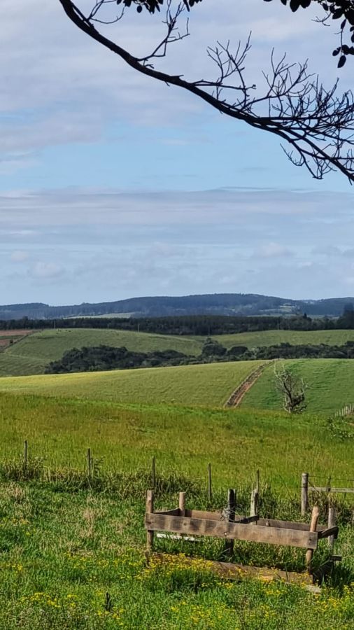 Fazenda - Venda - Rural - Gua�ba - RS