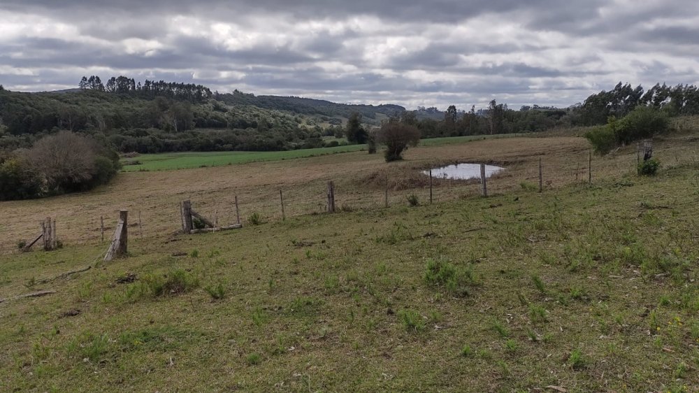 Chácara - Venda - Colônia Santa Maria - Pelotas - RS