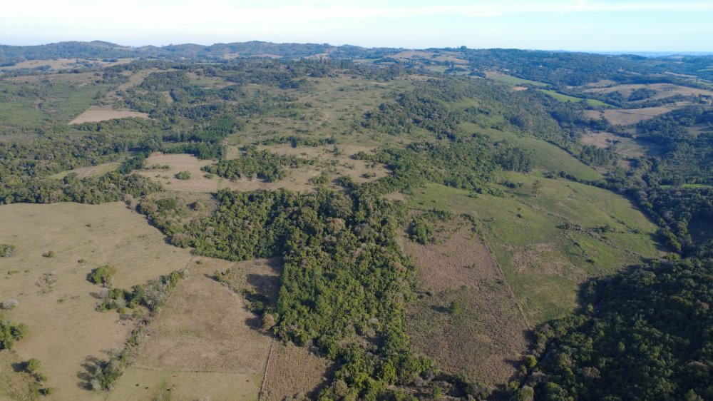 Fazenda - Venda - Cascata - Pelotas - RS