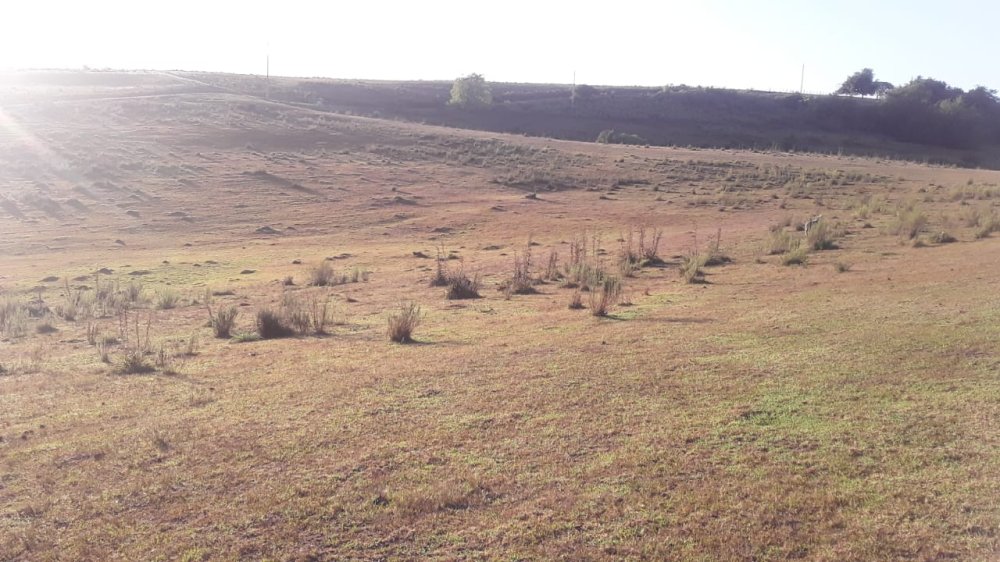 Fazenda - Venda - Centro - Pinheiro Machado - RS