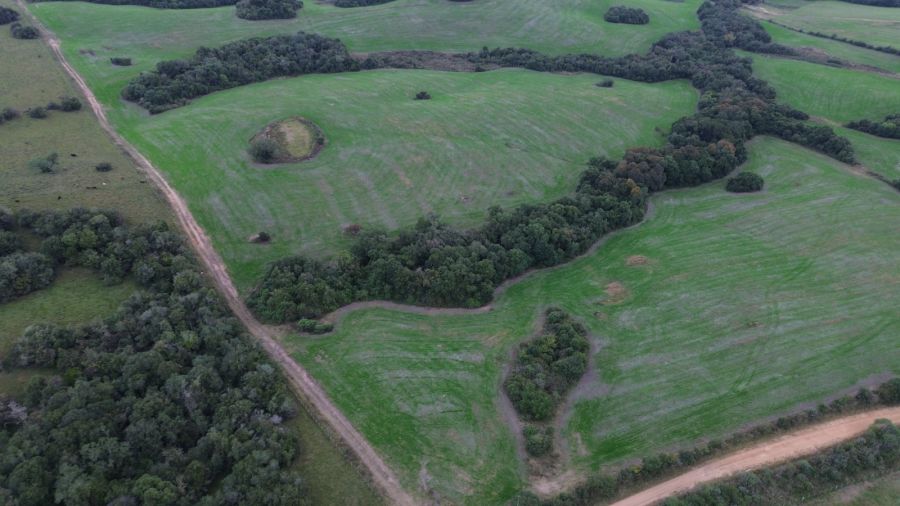 Fazenda - Venda - Marmeleiro - Cerrito - RS