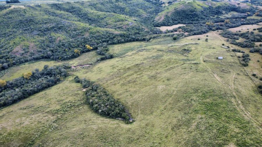 Fazenda - Venda - Pequeri - Encruzilhada do Sul - RS
