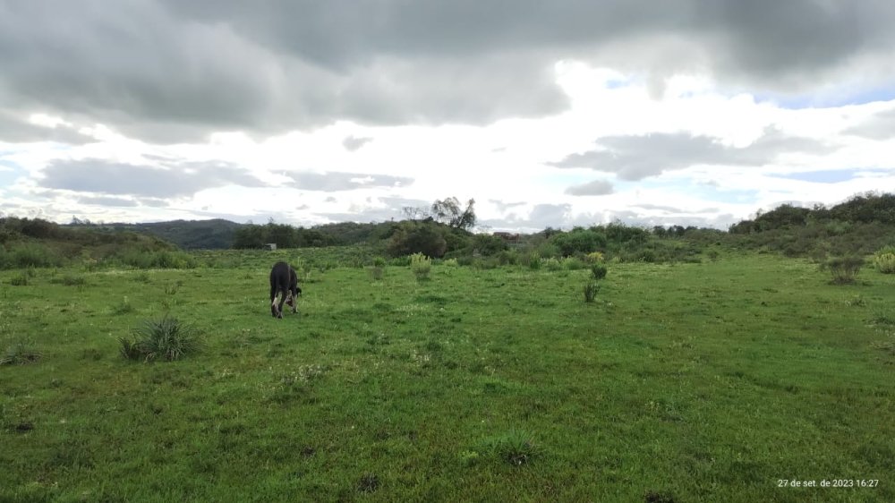 Fazenda - Venda - 1 Distrito - Canguu - RS
