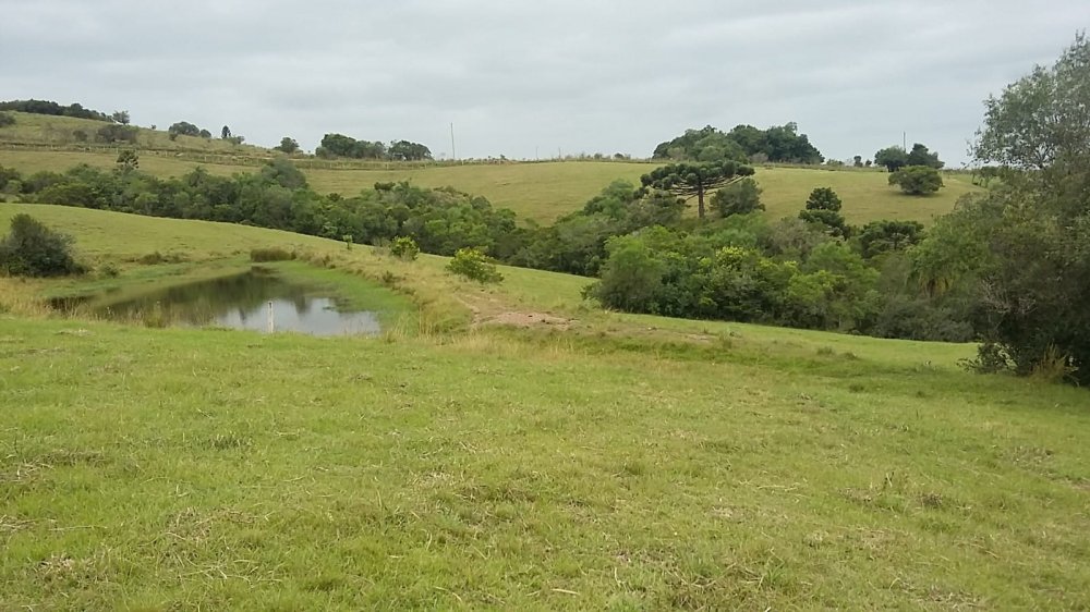 Fazenda - Venda - Centro - Santana da Boa Vista - RS