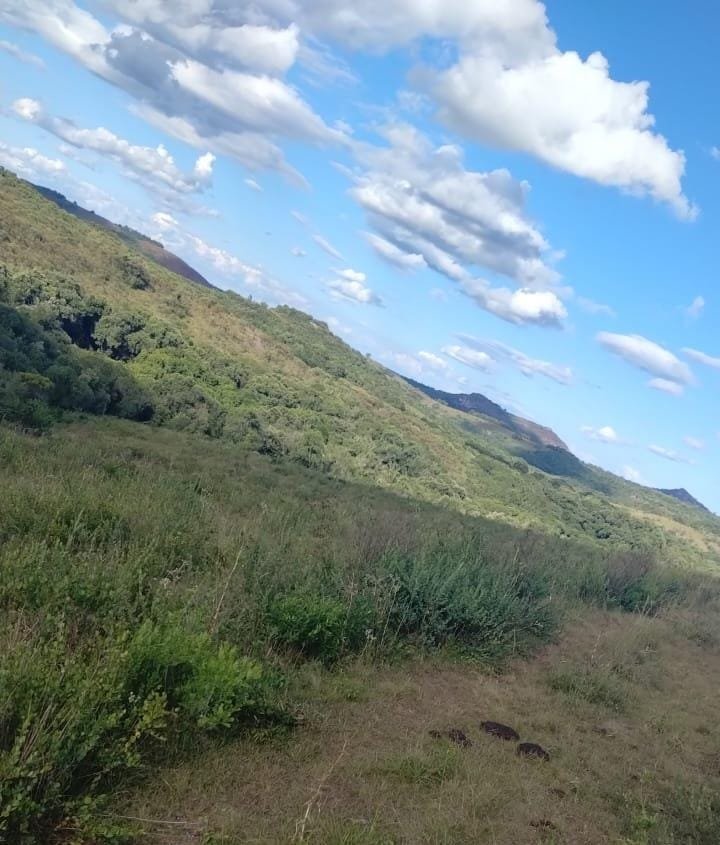 Fazenda - Venda - Centro - Bag - RS