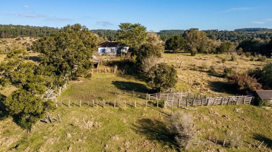 Fazenda - Venda - Centro - Santana da Boa Vista - RS