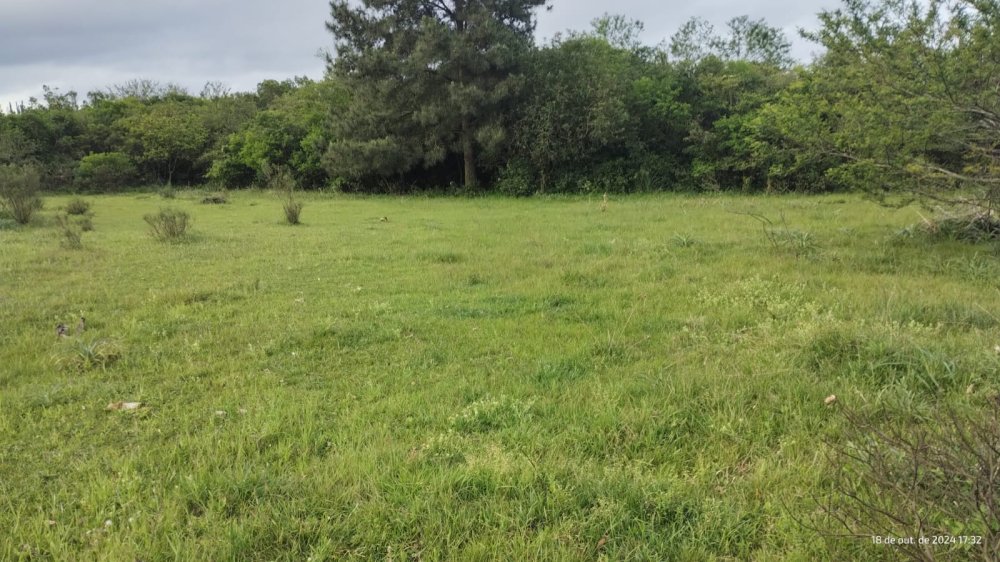 Fazenda - Venda - Centro - Herval - RS