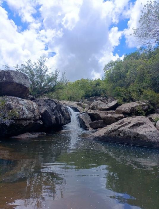 Fazenda - Venda - Mingote - Herval - RS