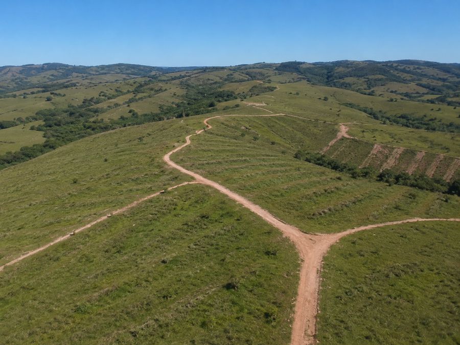 Fazenda - Venda - Torrinhas - Pinheiro Machado - RS