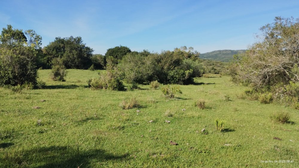 Fazenda - Venda - Centro - Herval - RS