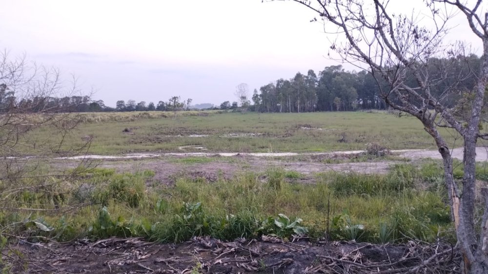 rea - Venda - Zona Industrial - Pelotas - RS