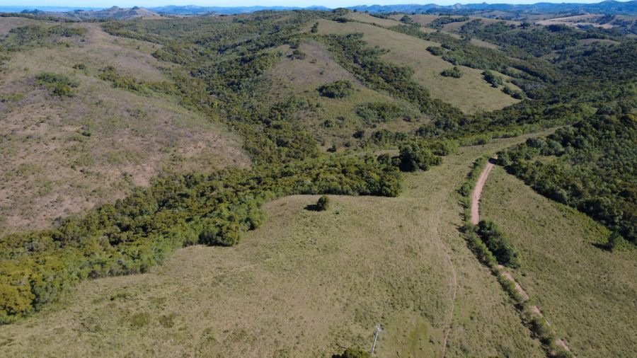 Fazenda - Venda - Br 392 - Santana da Boa Vista - RS