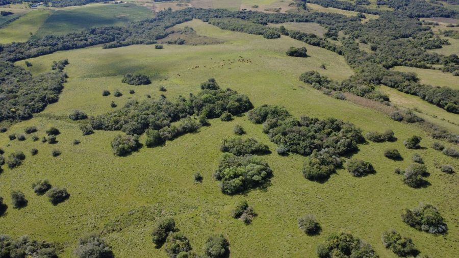 Fazenda - Venda - Br 293 - Piratini - RS