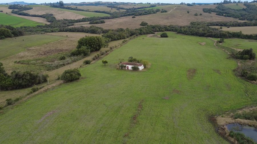 Sítio - Venda - Alto Alegre - Cerrito - RS