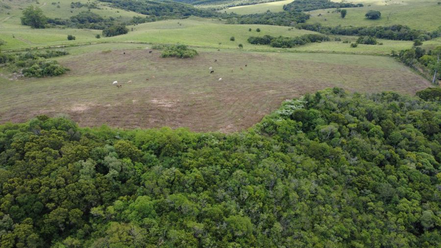 Sítio - Venda - Centro - Mariana Pimentel - RS