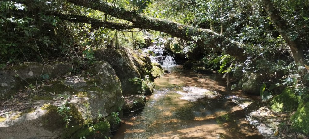 Chácara - Venda - Cascata - Pelotas - RS